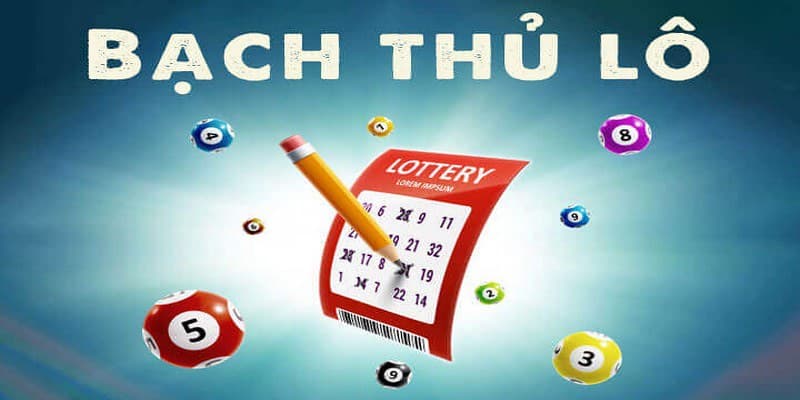 Bắt Bạch Thủ Lô với các chiến thuật hiệu quả