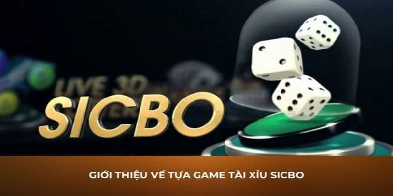 Hiểu đúng về Sicbo tài xỉu tại W88