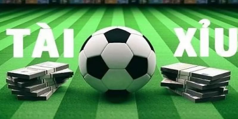 soi kèo tài xỉu Những điều cần biết trước khi soi kèo tài xỉu