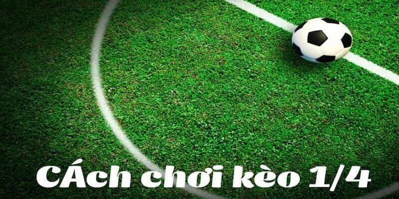 Kèo chấp ¼ là sao trong chiến lược long-term betting