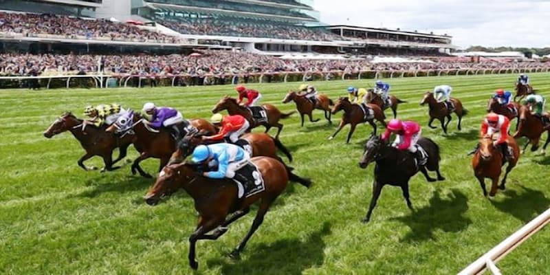 So sánh cá cược đua ngựa với các bộ môn thể thao ảo khác